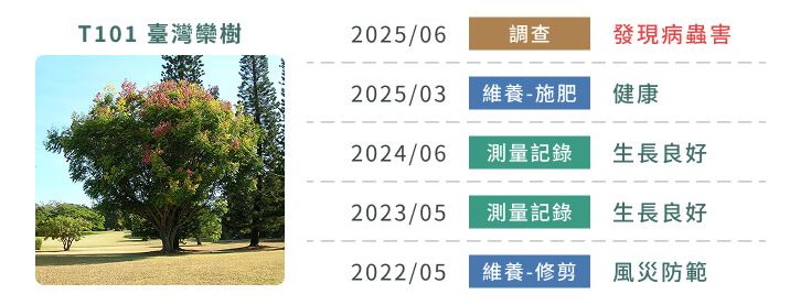 樹木履歷介面:單一植栽個體詳細資訊與歷史維養測量紀錄